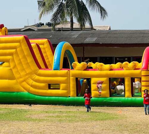 Bird Head Obstacle Course