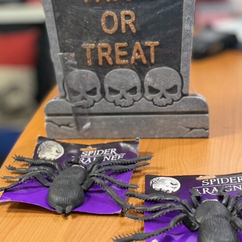 Halloween Giant Spider