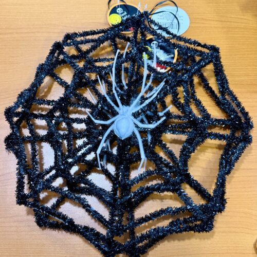 Halloween Glow In The Dark Spider Web - White