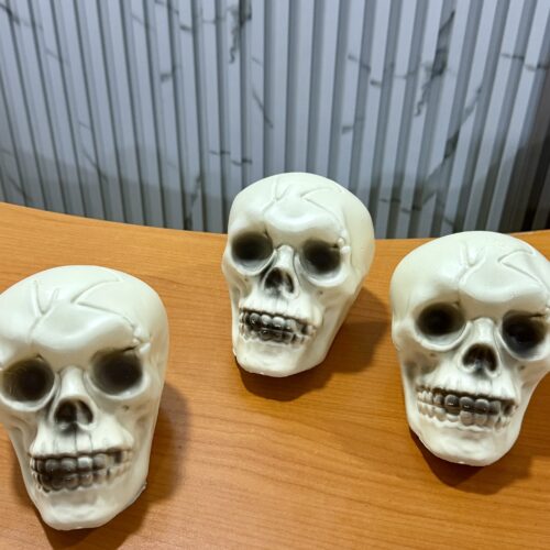 Skull